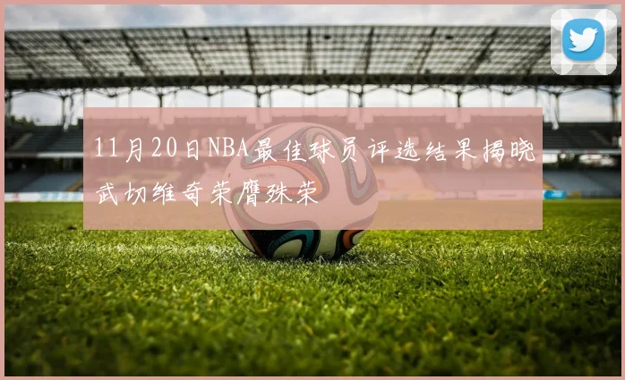 11月20日NBA最佳球员评选结果揭晓武切维奇荣膺殊荣