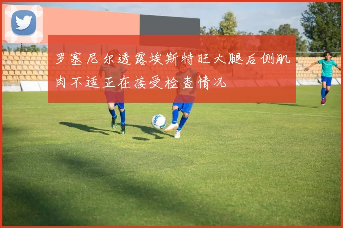 罗塞尼尔透露埃斯特旺大腿后侧肌肉不适正在接受检查情况