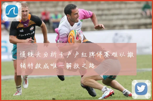 慢镜头分析卡卢卢红牌停赛难以撤销特赦成唯一解救之路
