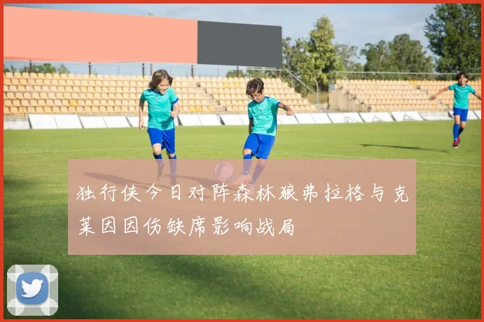 独行侠今日对阵森林狼弗拉格与克莱因因伤缺席影响战局