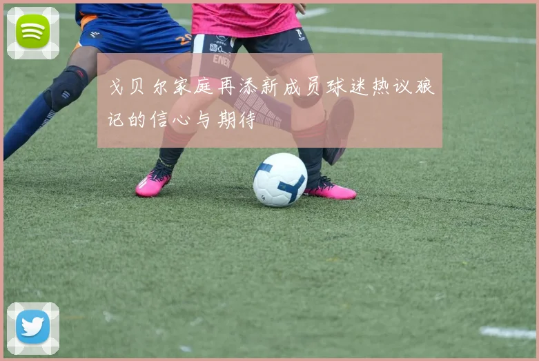 戈贝尔家庭再添新成员球迷热议狼记的信心与期待