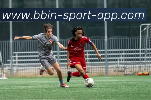 BBIN体育APP 高清赛事图